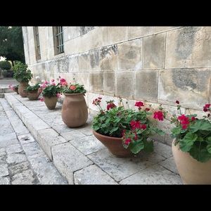 Meet your Posher, Robin